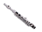 Jupiter Piccolo JPC1000