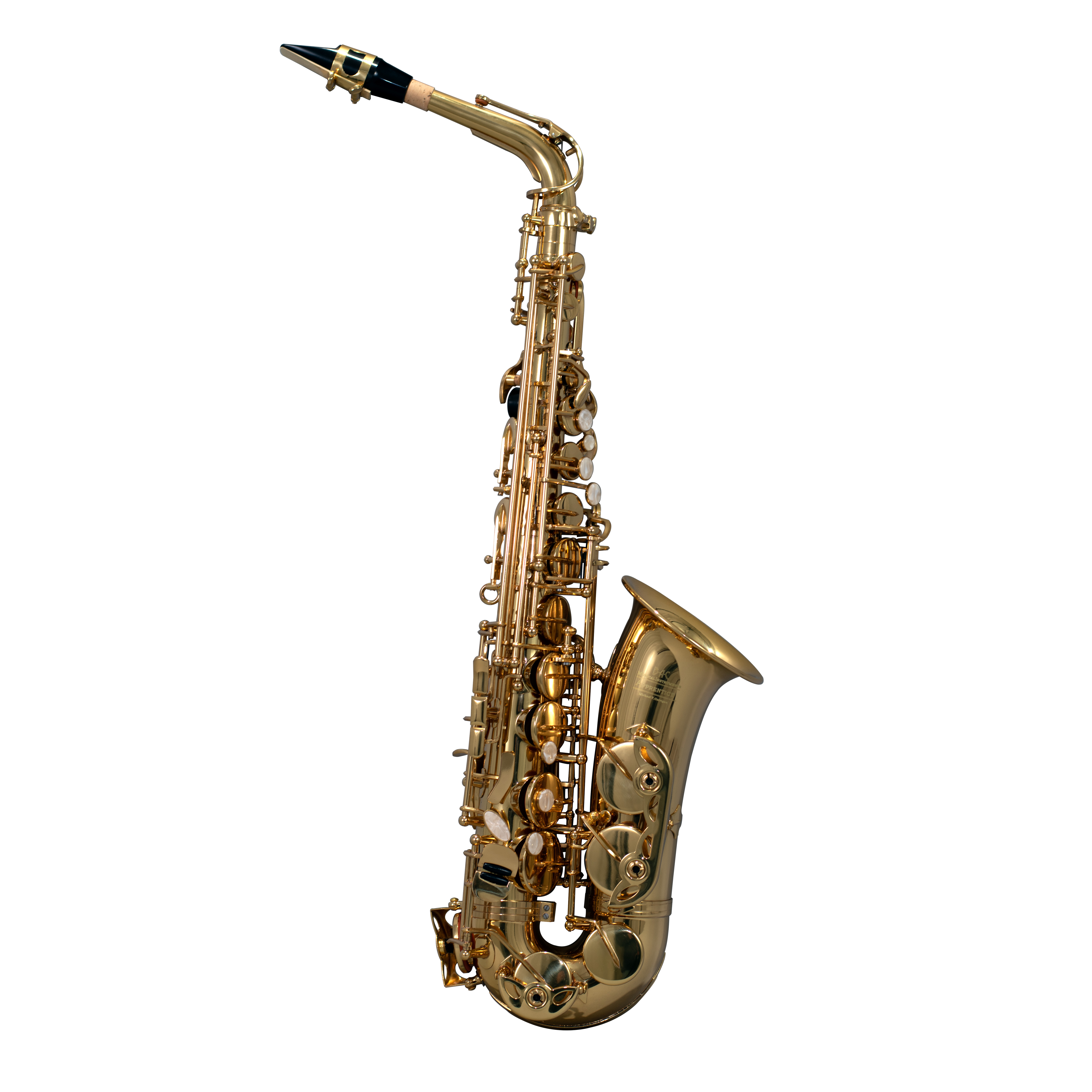 Rent a BAC Student Alto Saxophone — $5 First Month