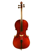 Eastman VC305ST