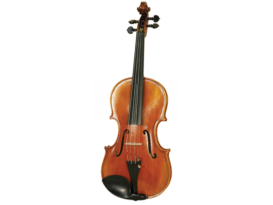 Rent a Eastman Student Violin Outfit